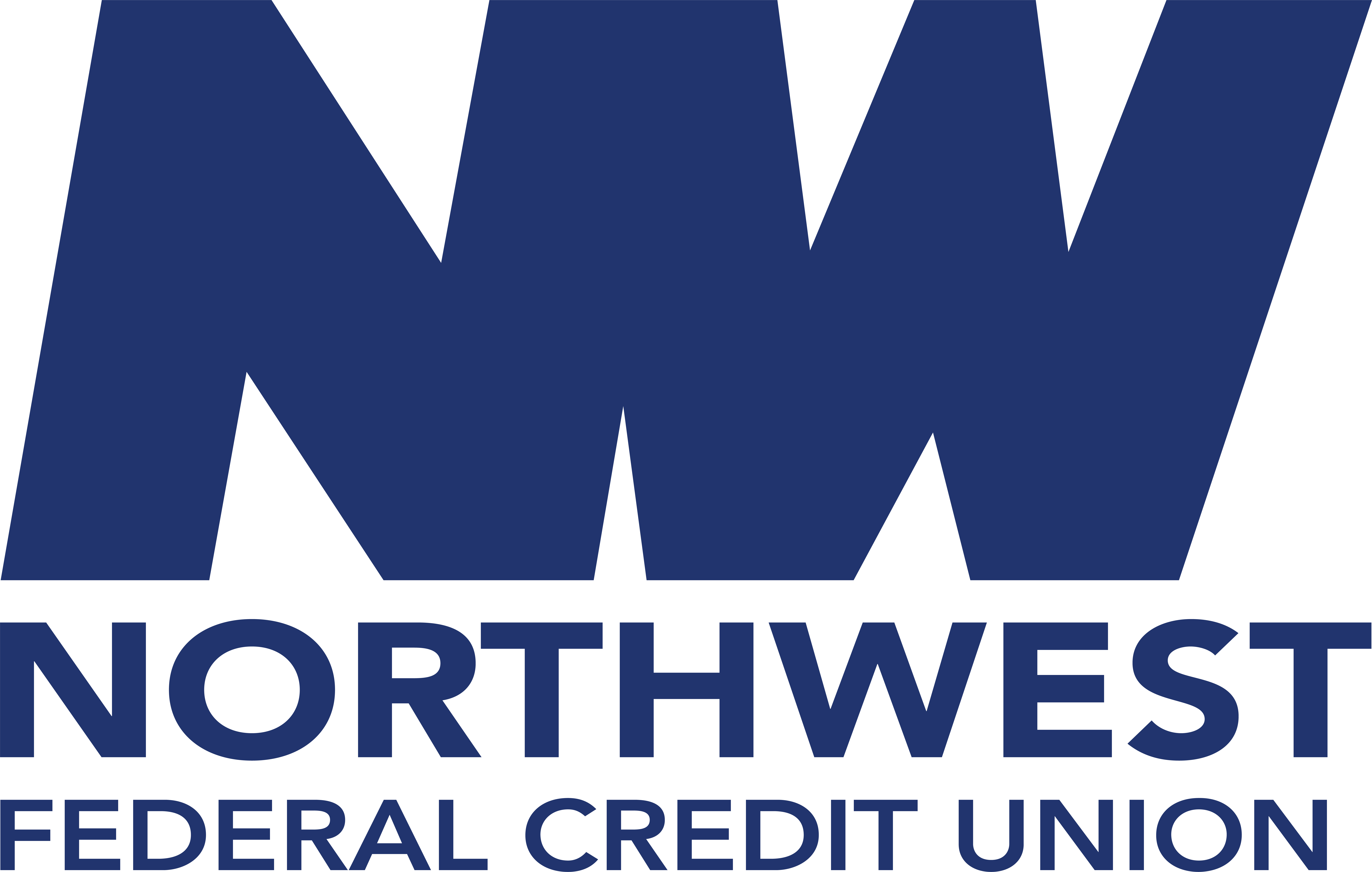 NW Logo All Blue.jpg